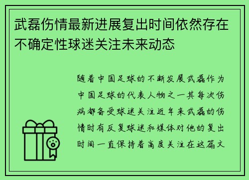 武磊伤情最新进展复出时间依然存在不确定性球迷关注未来动态